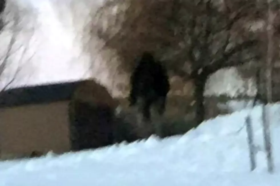 Boise Bigfoot...Spotted for Real?