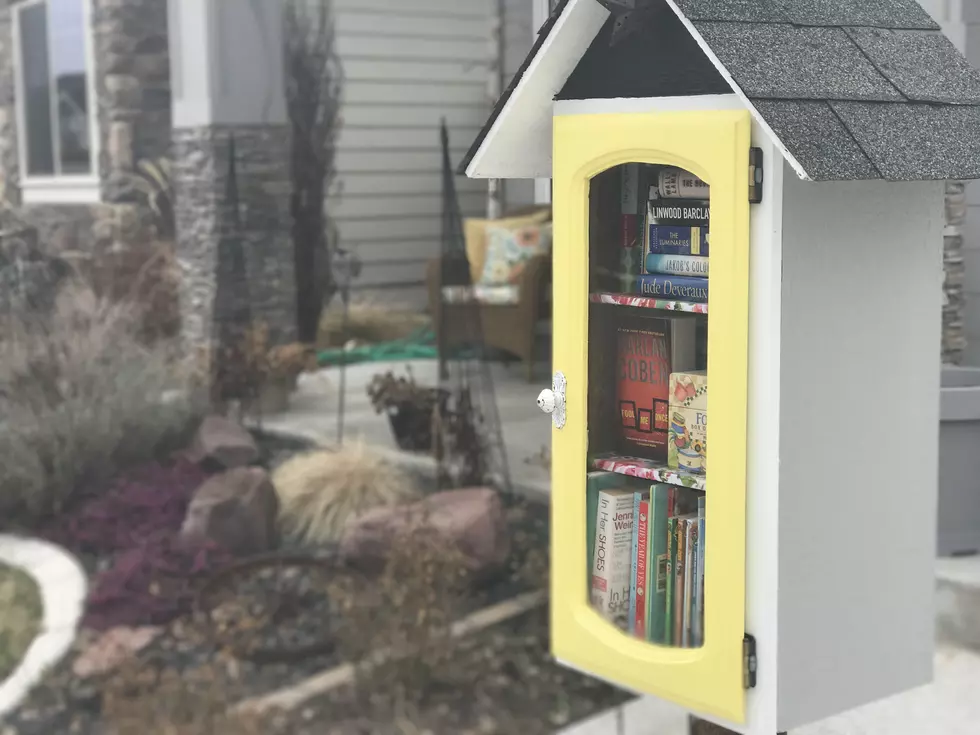 a library in your front yard