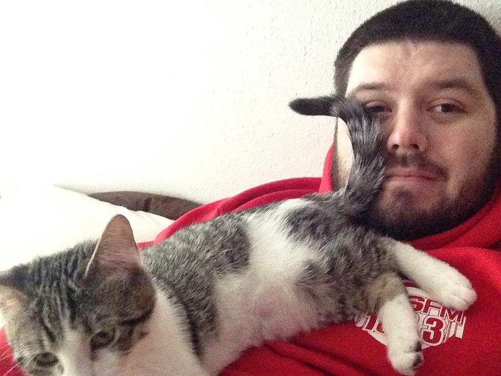 Cuddling Cats: A Real, Full-Time Job