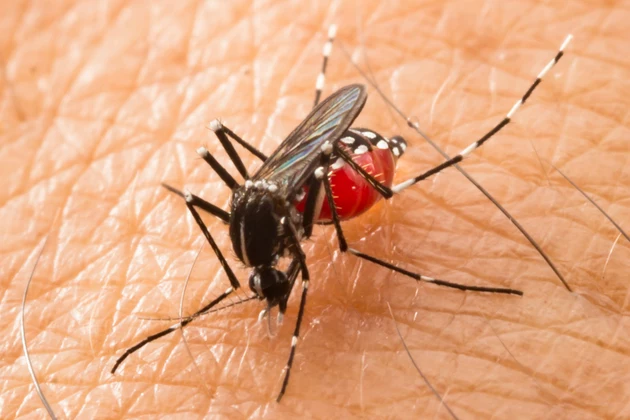 West Nile Virus Continues to Appear