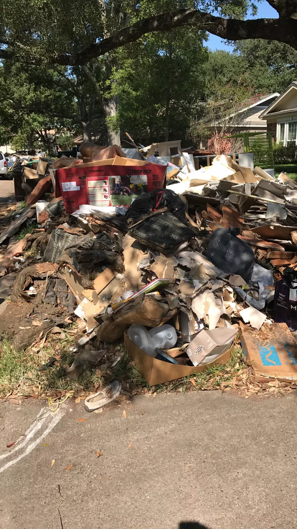 Boise's Hurricane Cleanup
