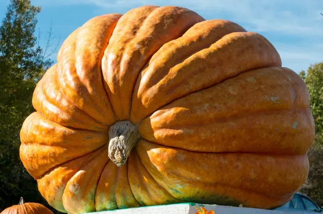 This Record-Setting Idaho Pumpkin Weighs More Than All of Fifth Harmony Combined
