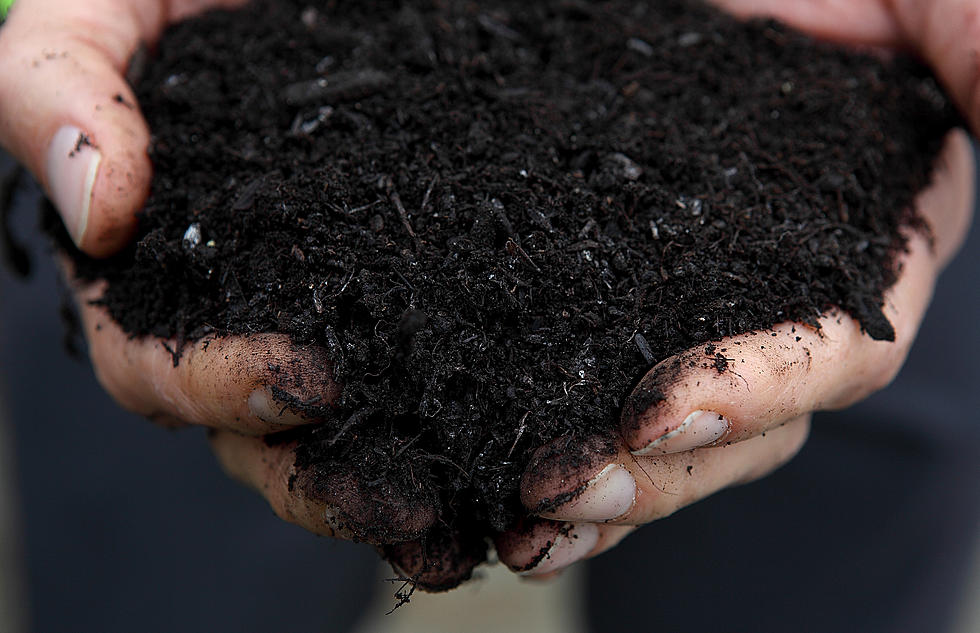 Should Idaho Legalize Human Composting Like Neighboring States?