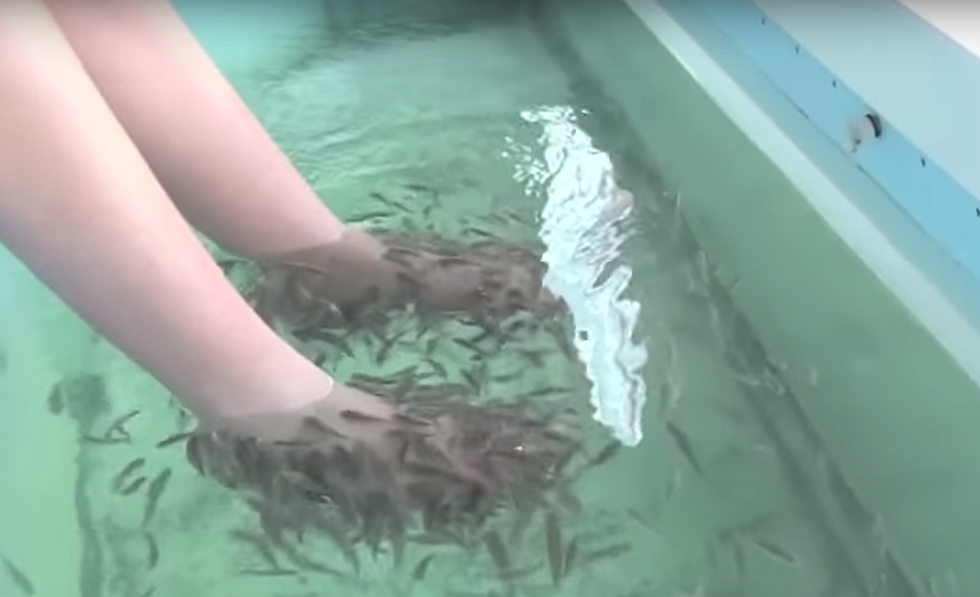 Is This Fish Spa Coming to the Treasure Valley this Fall?