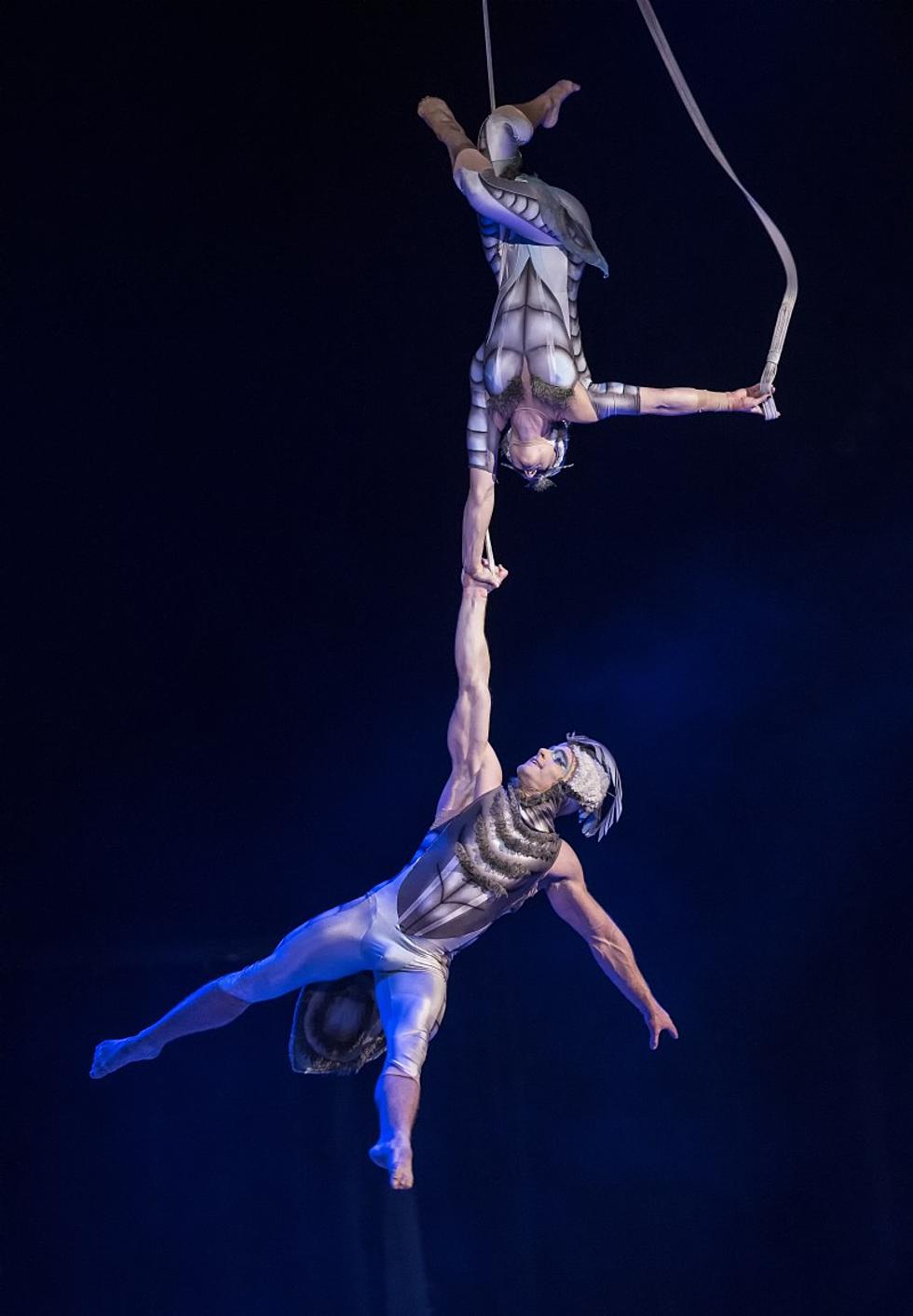 Cirque du Soleil’s OVO Starts in Boise Today