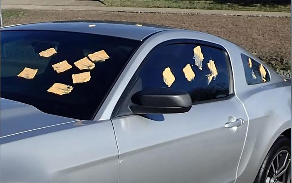 Viral Prank Reaches Boise: Who Is The Cheese Bandit?