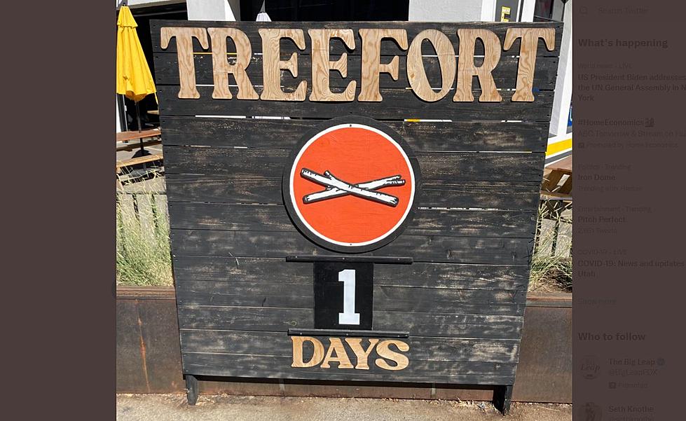 Experience A Day At Treefort In Under A Minute