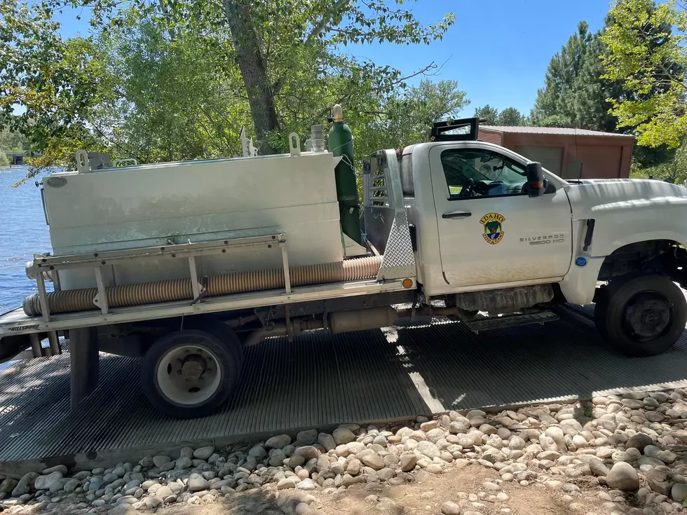 We Released a Truckload of WHAT Into the Boise River?! [VIDEO]