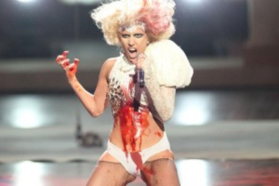 Woman Kills Cat To Make Costume For Gaga Concert