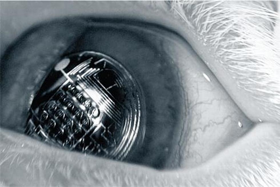Electronic Contact Lenses – Would You Wear Them?