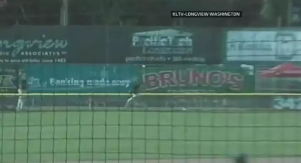 Junior College Baseball Player Goes Airborne for Game Winning Catch [VIDEO]
