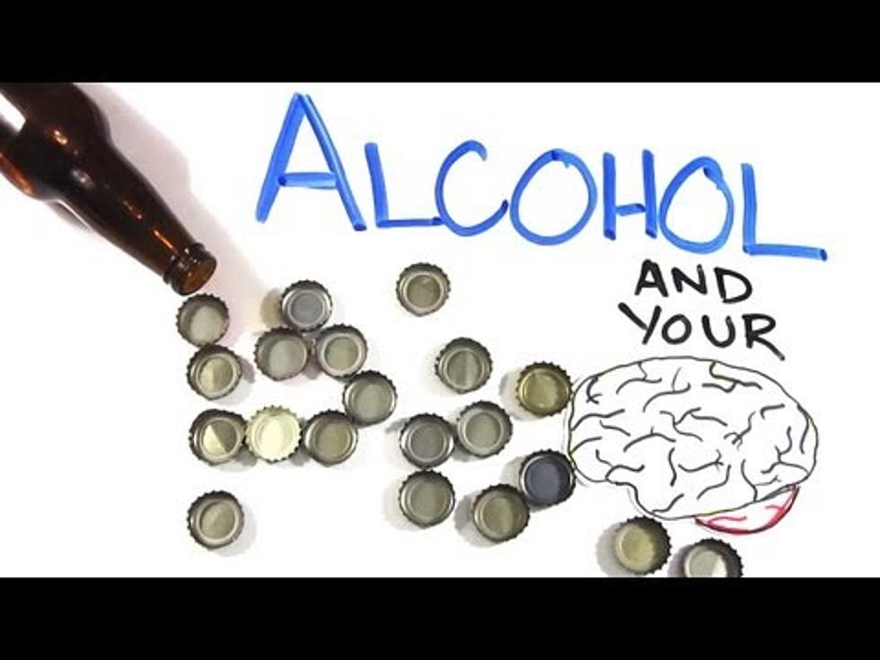 The Science Behind Getting Drunk [VIDEO]