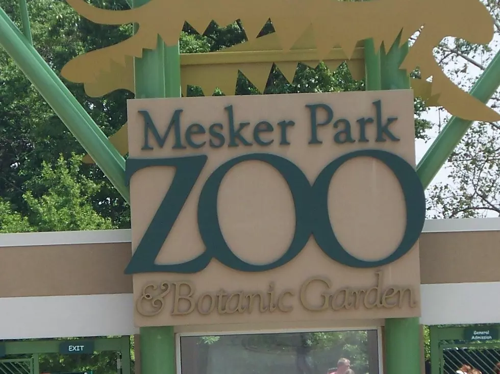 New Habitat Opening at Mesker Park Zoo