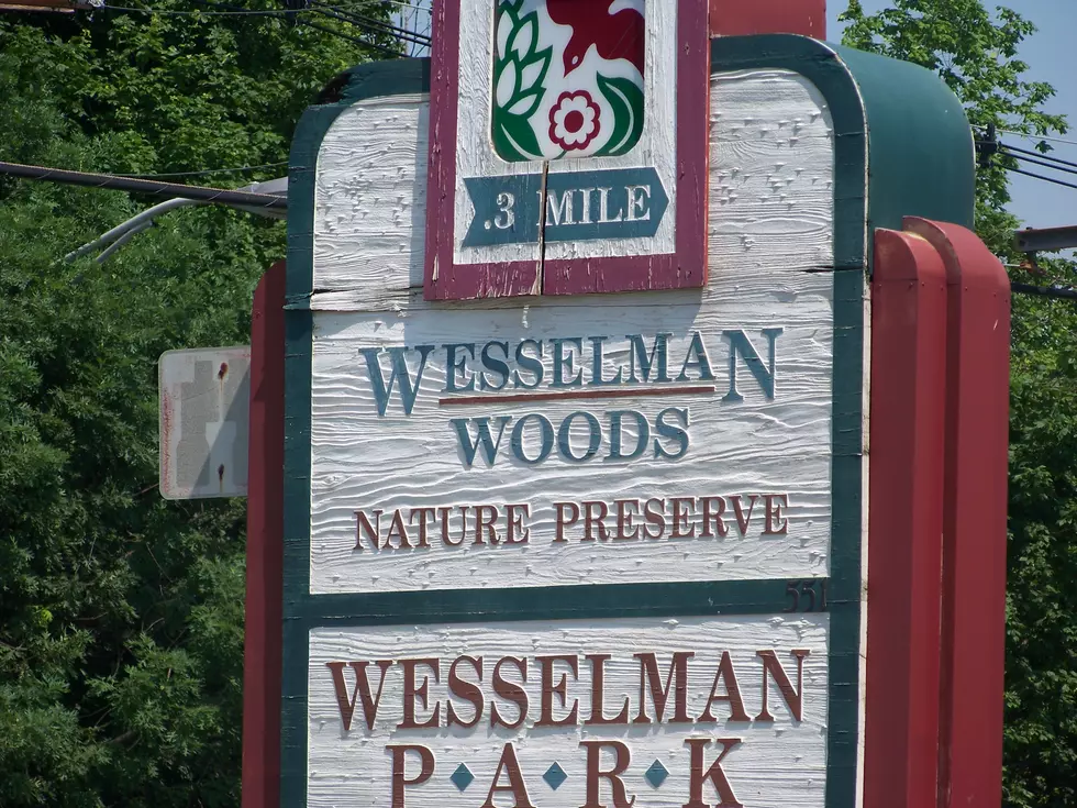 Wesselman Woods Presents Wandering Owl Twilight Tasting Event on Oct. 27th