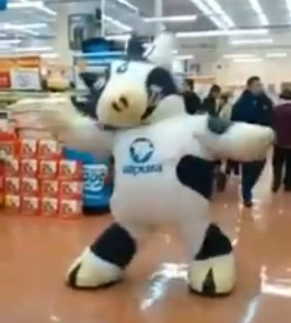 This Cow Perfectly Shows What Leaving Work on a Friday Feels Like [VIDEO]