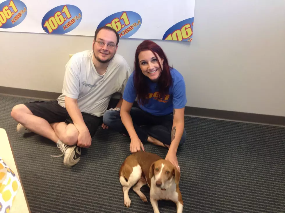 Warrick Humane Society Adoptable Pet of the Week &#8211; Betty
