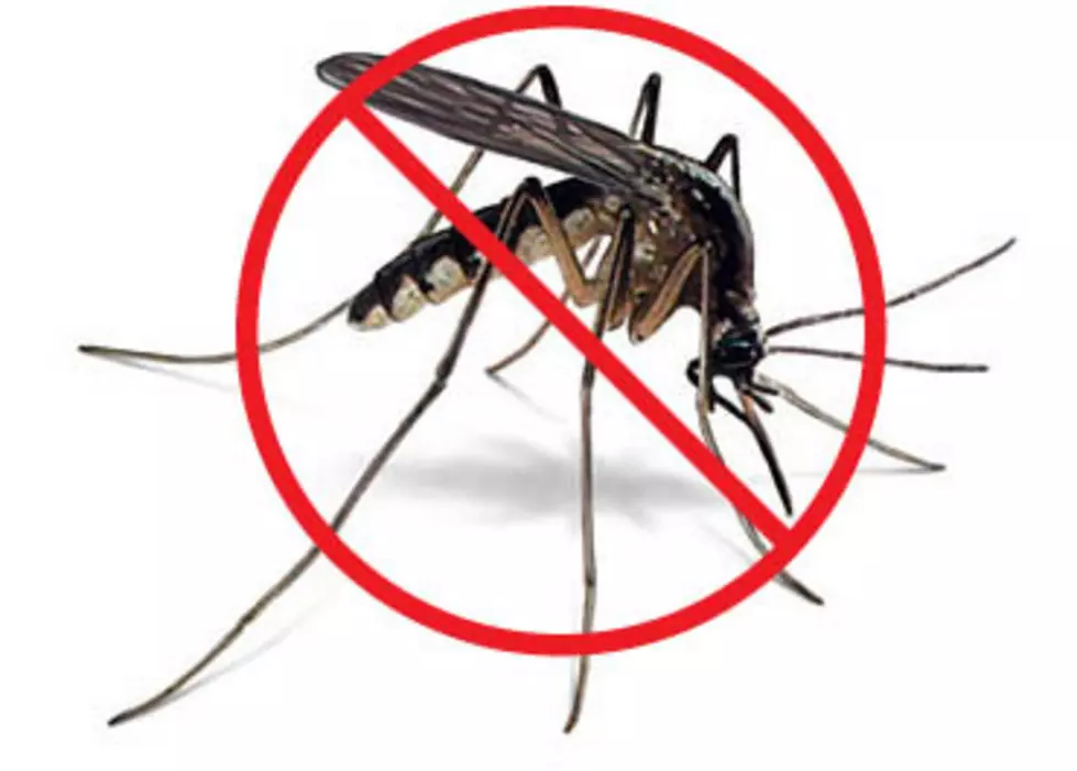 Don&#8217;t Get Bit &#8211; All Natural Mosquito Repellant