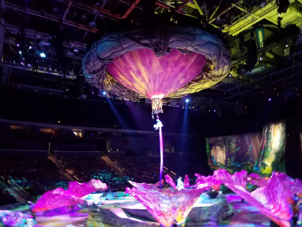 See Photos From Cirque Du Soleil Toruk: First Flight