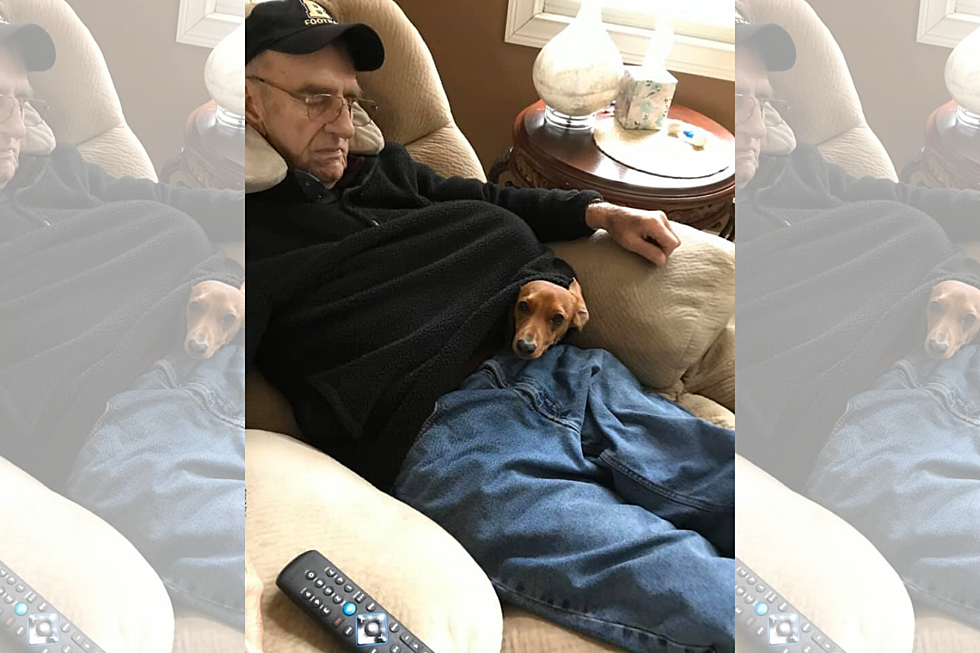 Newburgh Doxie and His Papaw Snuggling Will Warm You Up this Winter