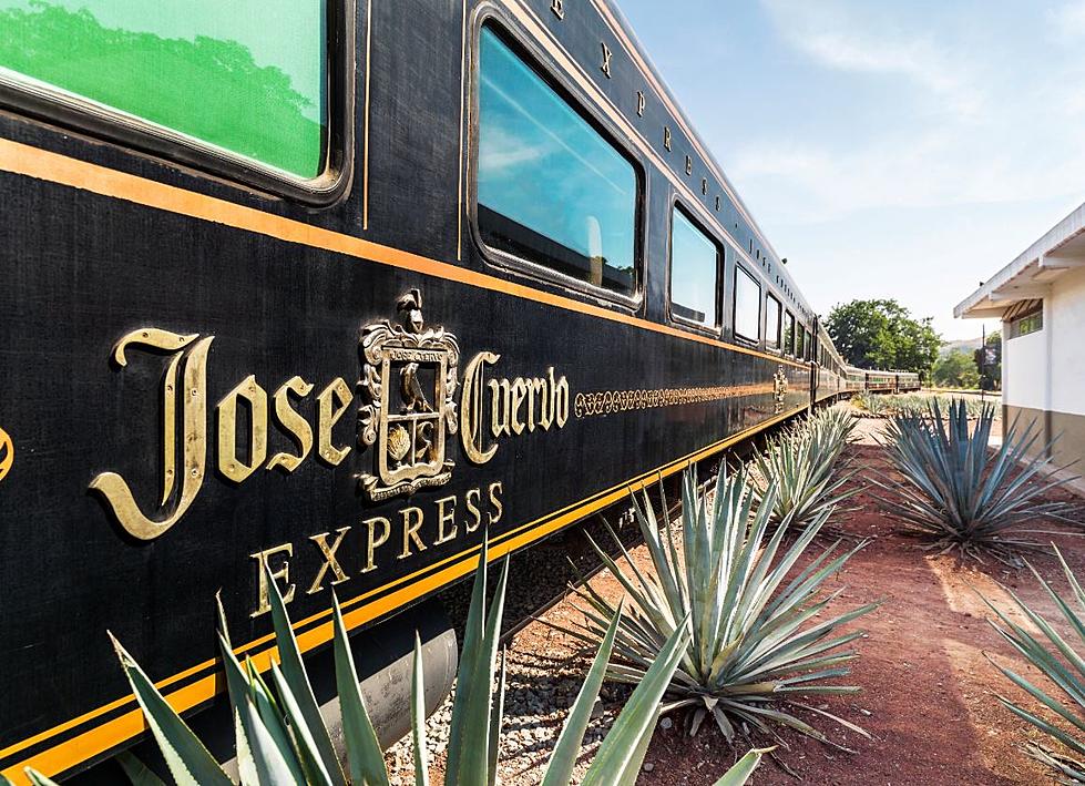 Take a Trip on All-You-Can-Drink Jose Cuervo Express Train [PICTURES]