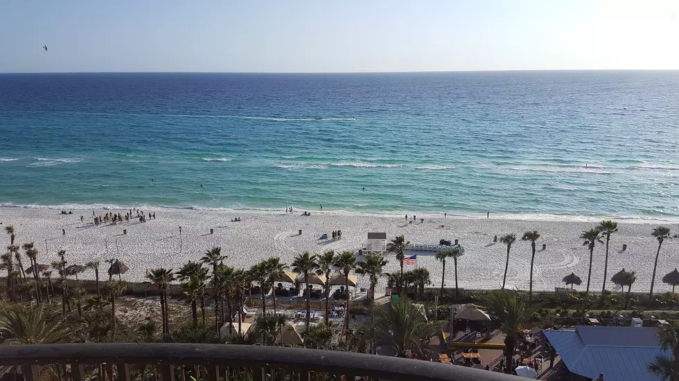 App Exclusive Contest &#8211; Win a Trip to Panama City Beach