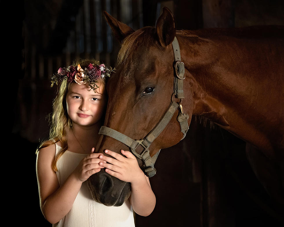 Christmas Gift Idea: Horseback Riding Experiences Around the Evansville Area