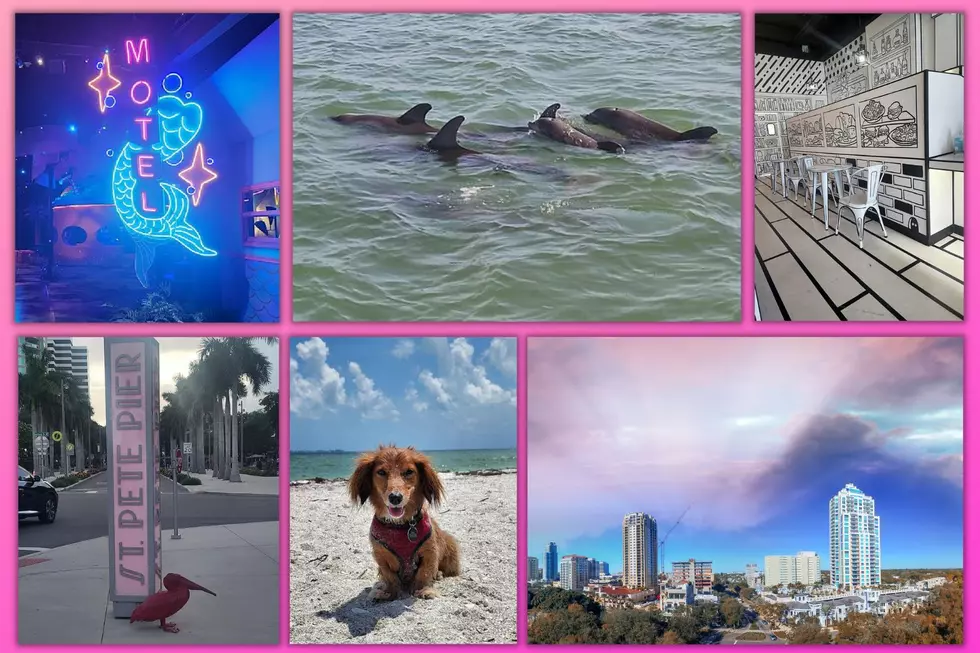 An Evansville Woman Took Her First Trip to Florida – Here’s What She & Her 3 Dogs Found in St. Pete
