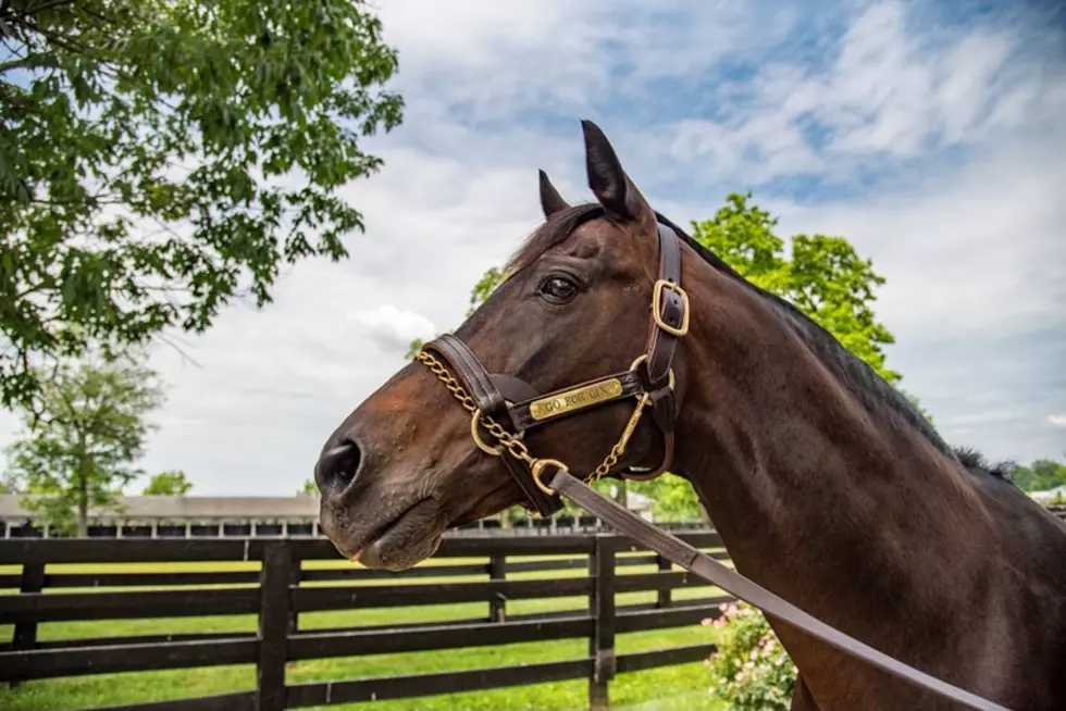 Kentucky Horse Park Raising Funds for New Memorial