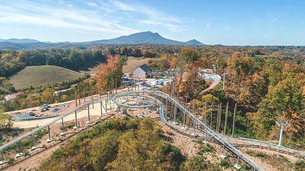 This Tennessee Ranch Offers Visitors a Mountain Coaster Called ‘The Wild Stallion’
