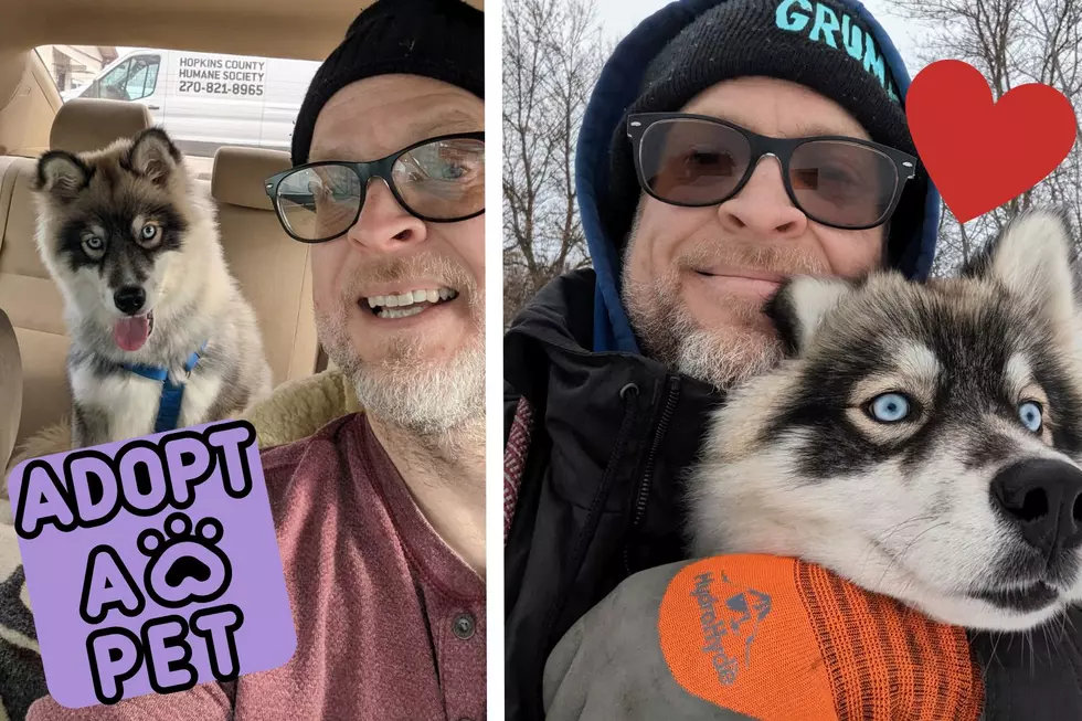 Minnesota Man Travels 12 Hours Thru an Ice Storm to Adopt a Puppy in Kentucky