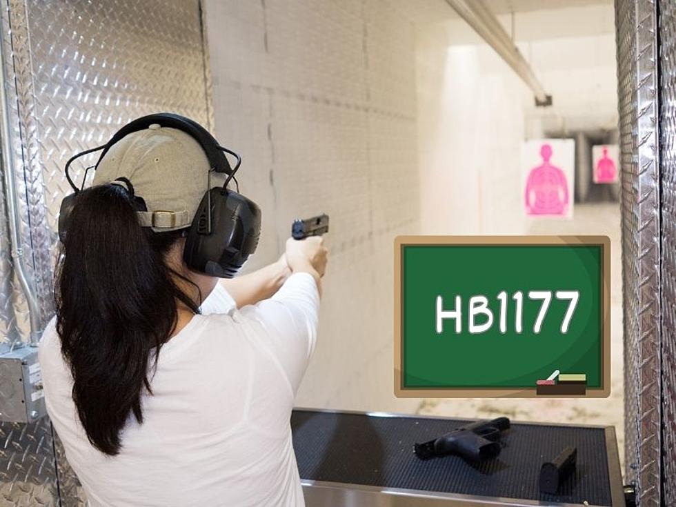 Indiana Lawmakers Approve Bill to Fund Voluntary Firearm Training for Teachers