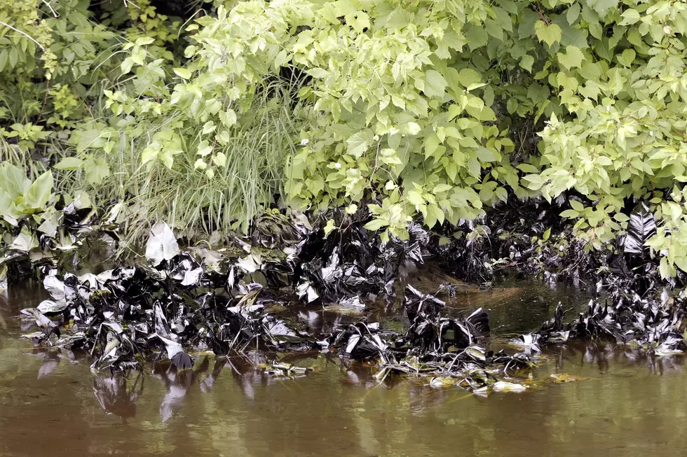 New Report Released on 2010 Kalamazoo River Oil Spill
