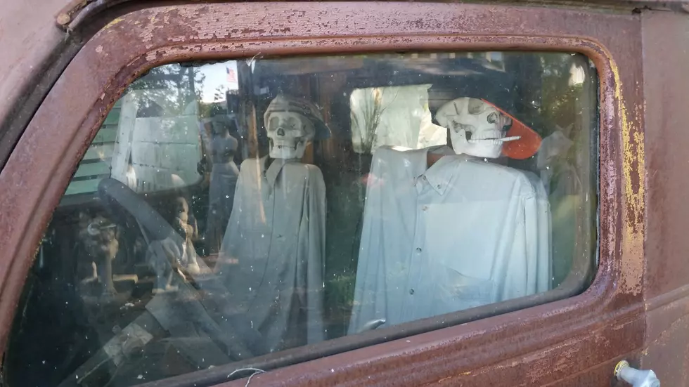 Where&#8217;s Skellville? Visit the Surprisingly Creepy Skull and Skeleton Collection In Benton Harbor