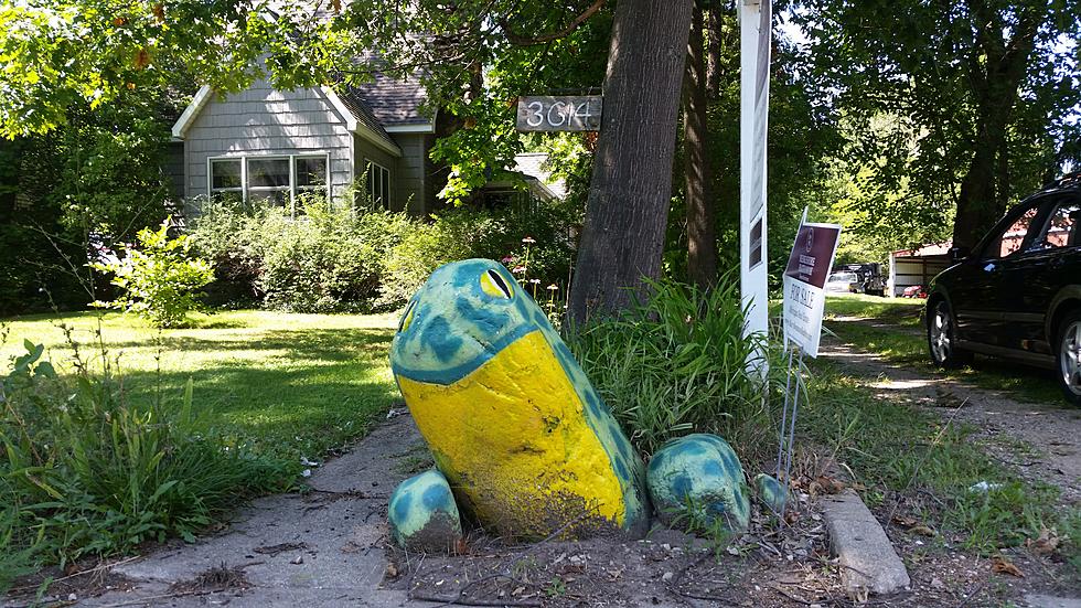How Long Has This Iconic Frog Sat On Lovers Lane In Kalamazoo?
