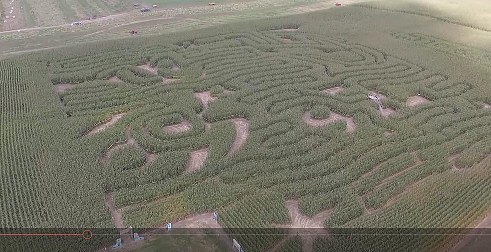 Take A Peek At The New Corn Maze As We Fly Over Harvest Moon Acres In Gobles