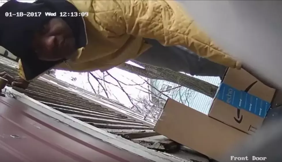 Watch This (Alleged) Thief Get Caught in the Act in Kalamazoo’s Vine Neighborhood