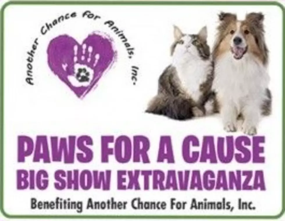 2nd annual &#8220;Paws For A Cause Big Show Extravaganza&#8221;