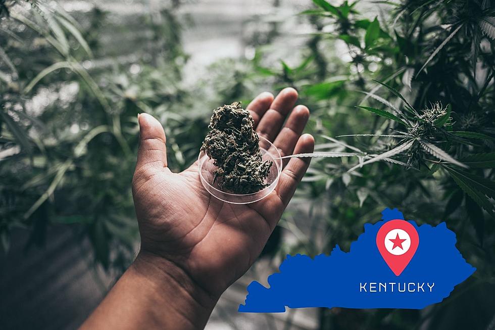 Marijuana Legalization Remains a Hot Button Issue in Kentucky