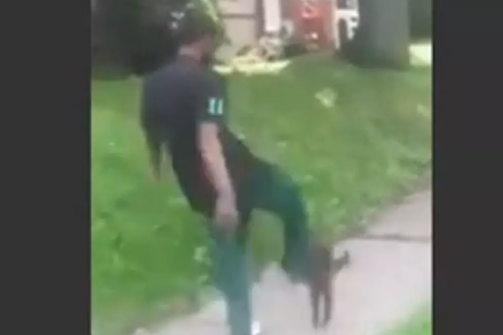 Man Kicking Cat for Laughs Is a Dirtbag for All Time