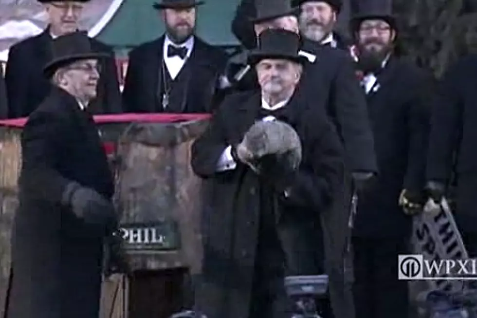 Punxsutawney Phil Doesn&#8217;t See Shadow, Declares Early Spring for 2016
