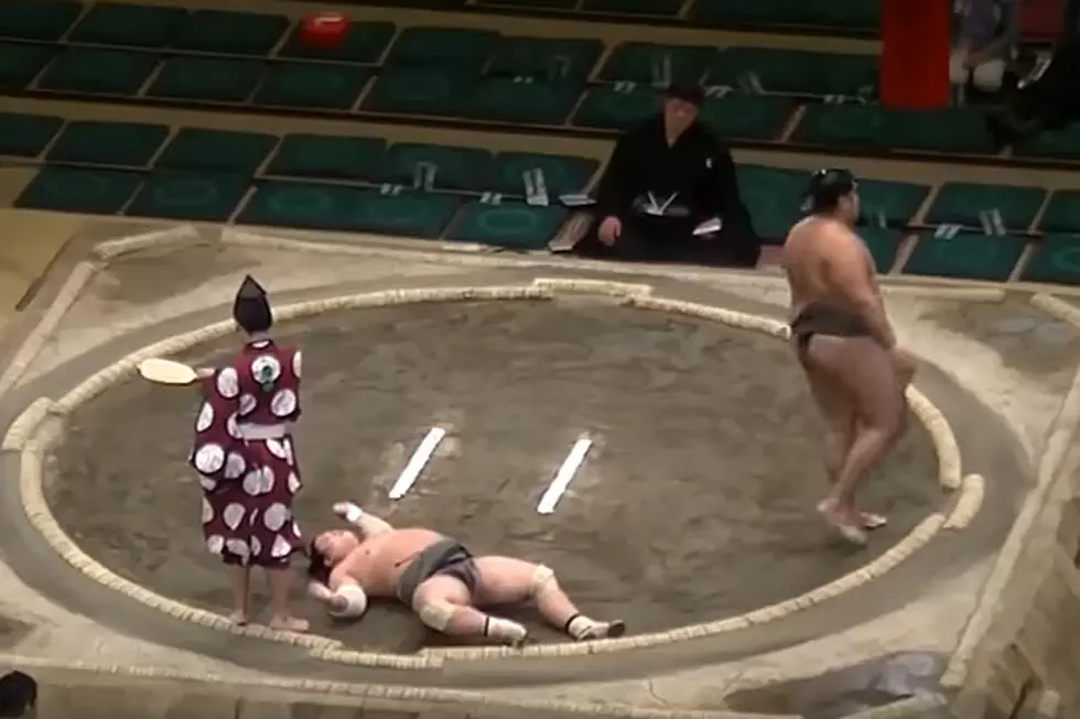 This Sumo Wrestler&#8217;s Savage Knockout Will Make You Glad You Chose a Different Line of Work