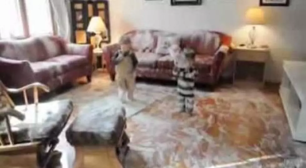 Kids Exert Flour Power, Lay Waste to Living Room [VIDEO]