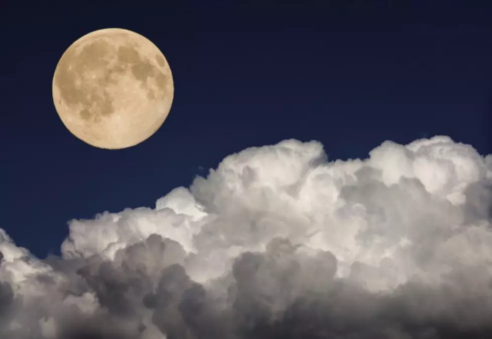 See The Blue Moon Tonight