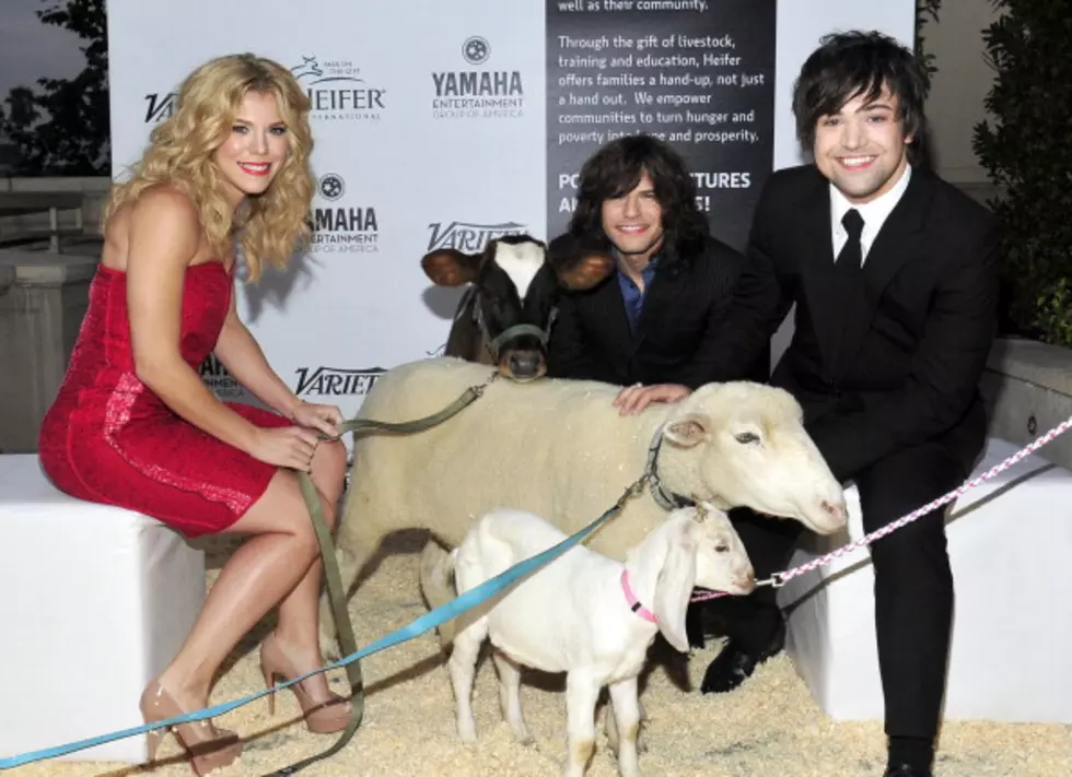 Band Perry Seems Desperate* [Video]