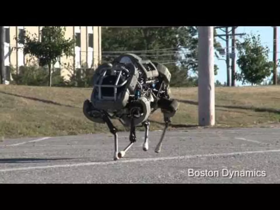 What on Earth is Boston Dynamics&#8217; WildCat? [Video]