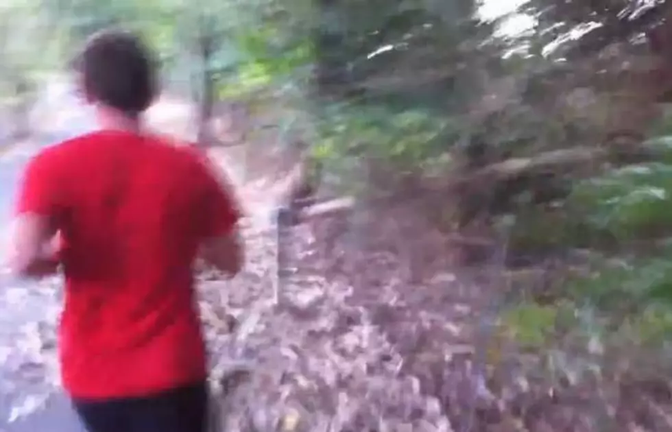 The Great Snake on the Greenbelt Prank [Video]