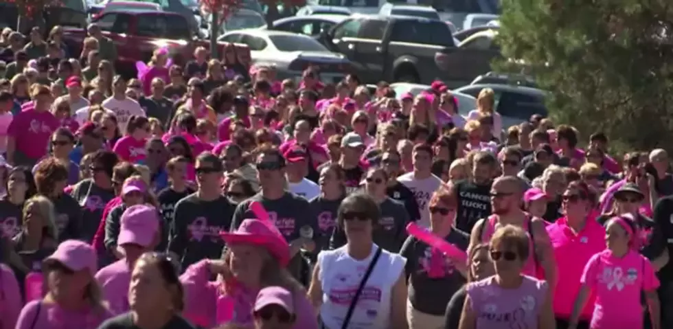 Making Strides Against Breast Cancer Walk At Smothers Park October 25th [VIDEO]