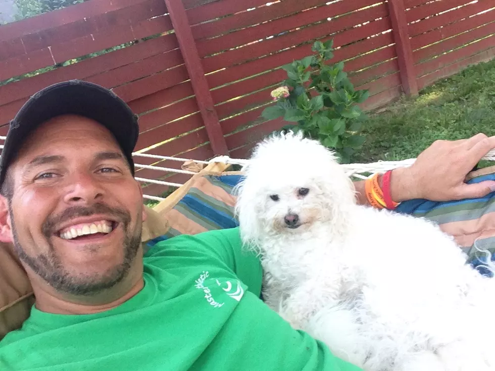 National Dog Day:  Meet Chad’s Dogs Dolly & Ellie [Photos]