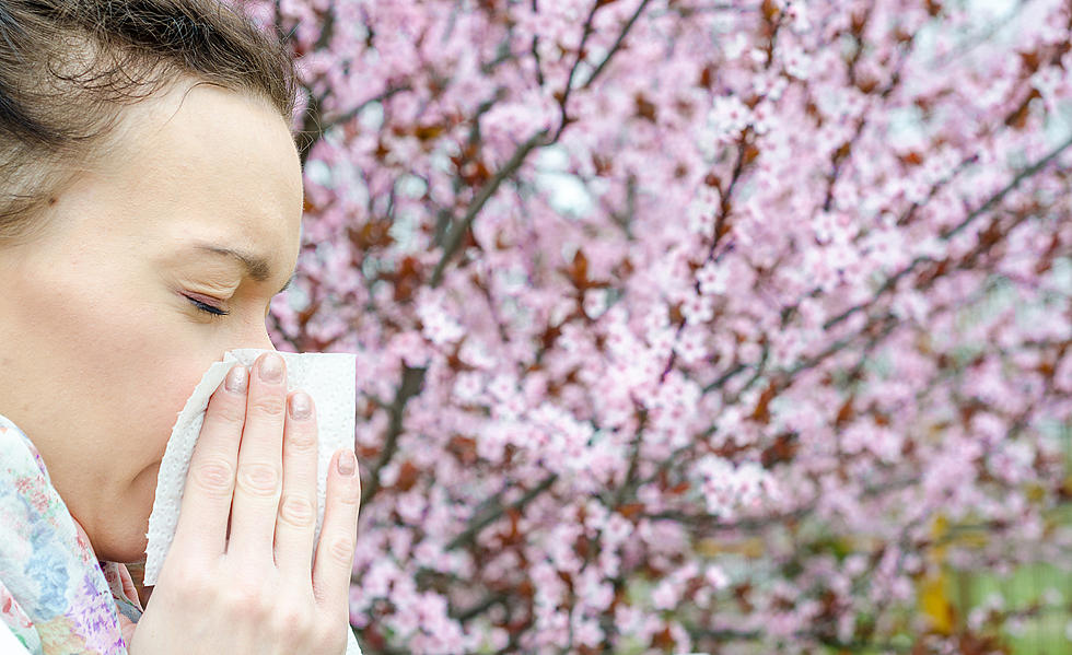 KENTUCKY CITY SECOND WORST FOR ALLERGY SUFFERERS