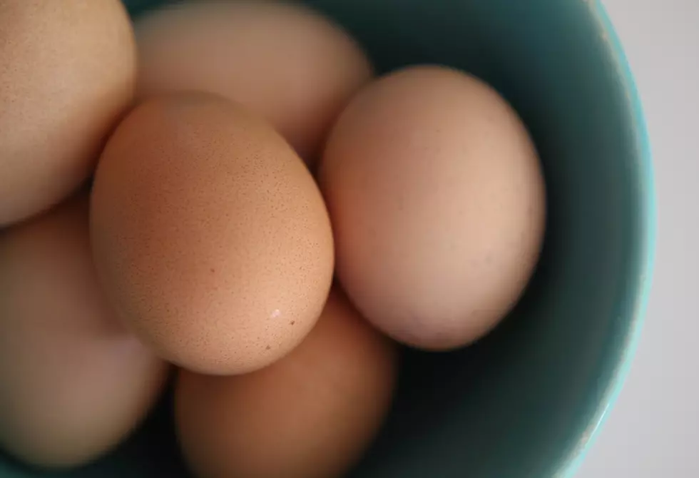 Salmonella-Tainted Eggs Have Sickened One Kentuckian